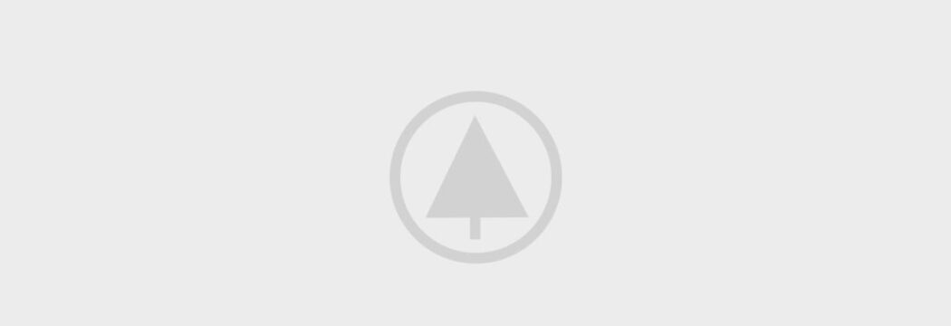 wood-portfolio-placeholder